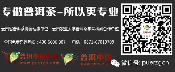 【一茶一课】“袁乾利贞茶号”——冰岛古树茶回顾 【一茶一课】“袁乾利贞茶号”——冰岛古树茶回顾