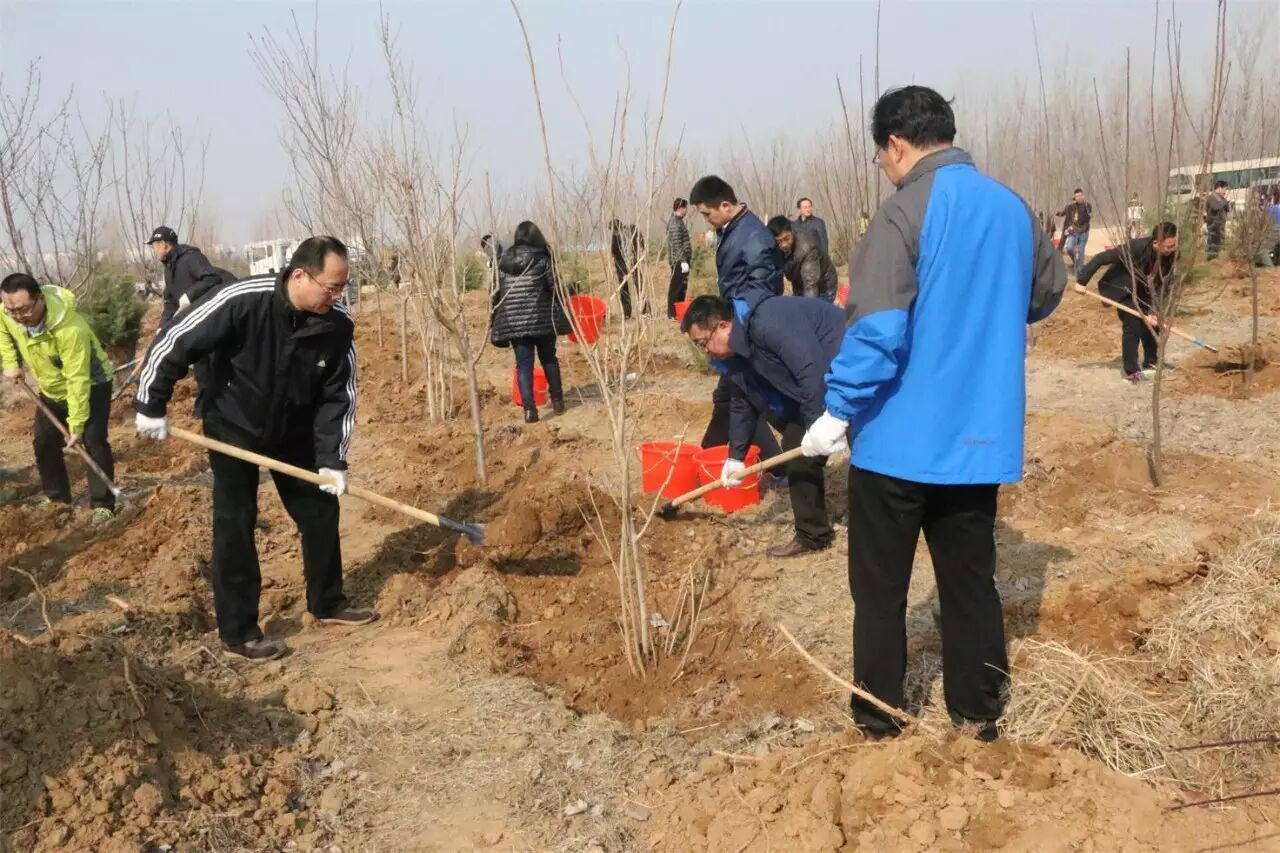 植树造林丨张杰庄增大等参加我市集中义务植树活动