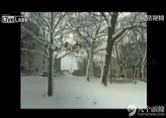 金三胖炮决玄永哲现场录像:血肉横飞,惨不忍睹(慎入) 金三胖炮决玄永哲现场录像:血肉横飞,惨不忍睹(慎入)