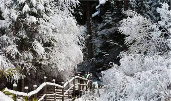 大雪之后的九寨沟,刚拍的,美到爆! - 江南浪子 - 江南浪子的博客 大雪之后的九寨沟,刚拍的,美到爆! - 江南浪子 - 江南浪子的博客