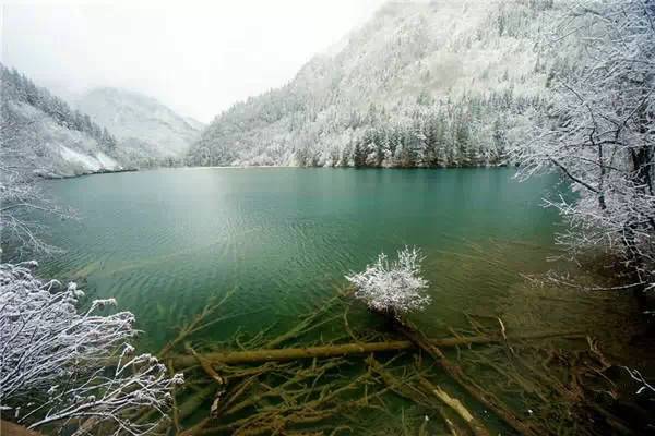 大雪之后的九寨沟617 / 作者:黑白年代 / 帖子ID:106921