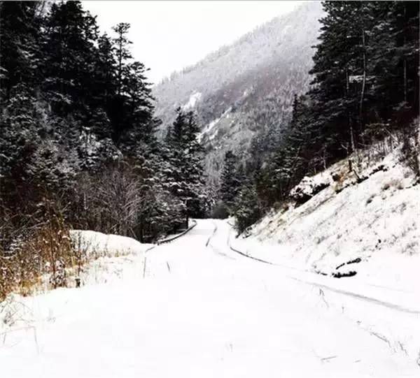 大雪之后的九寨沟,刚拍的,美到爆! - 江南浪子 - 江南浪子的博客 大雪之后的九寨沟,刚拍的,美到爆! - 江南浪子 - 江南浪子的博客