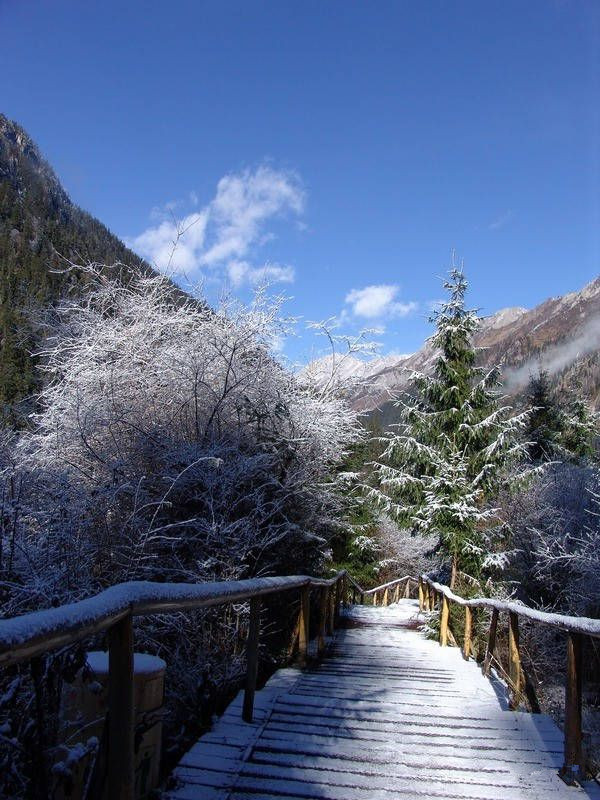 大雪之后的九寨沟,刚拍的,美到爆! - 江南浪子 - 江南浪子的博客 大雪之后的九寨沟,刚拍的,美到爆! - 江南浪子 - 江南浪子的博客