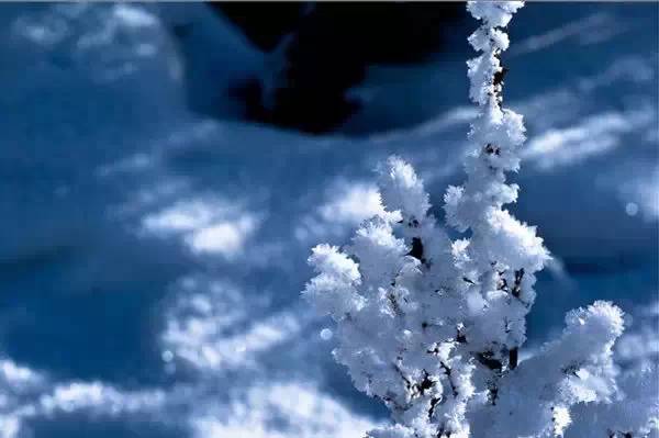 大雪之后的九寨沟,刚拍的,美到爆! - 江南浪子 - 江南浪子的博客 大雪之后的九寨沟,刚拍的,美到爆! - 江南浪子 - 江南浪子的博客