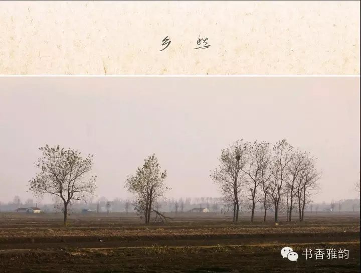 我怕我回过头已经冰冷 你永远不会看到我的乡愁 因为,我只有在一个人