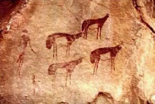 带你走进南非最北的省份-林波波省（上）