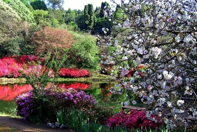 带你走进南非最北的省份-林波波省（上）