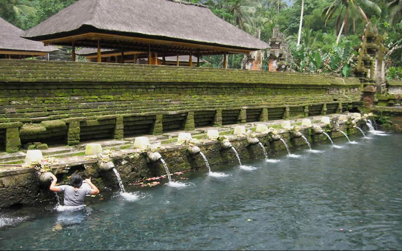 【WV產品推薦】巴厘島6天5夜義工旅遊，邊旅遊邊做慈善，即刻搶位