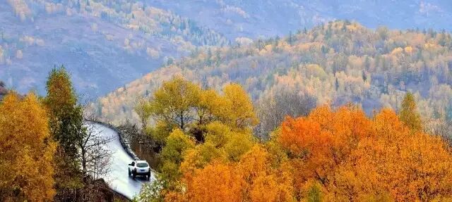 新疆最美的8条公路，震惊卡车司机，太美了！