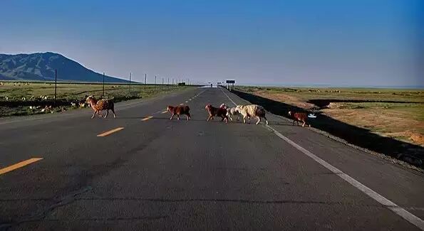 新疆最美的8条公路，震惊卡车司机，太美了！