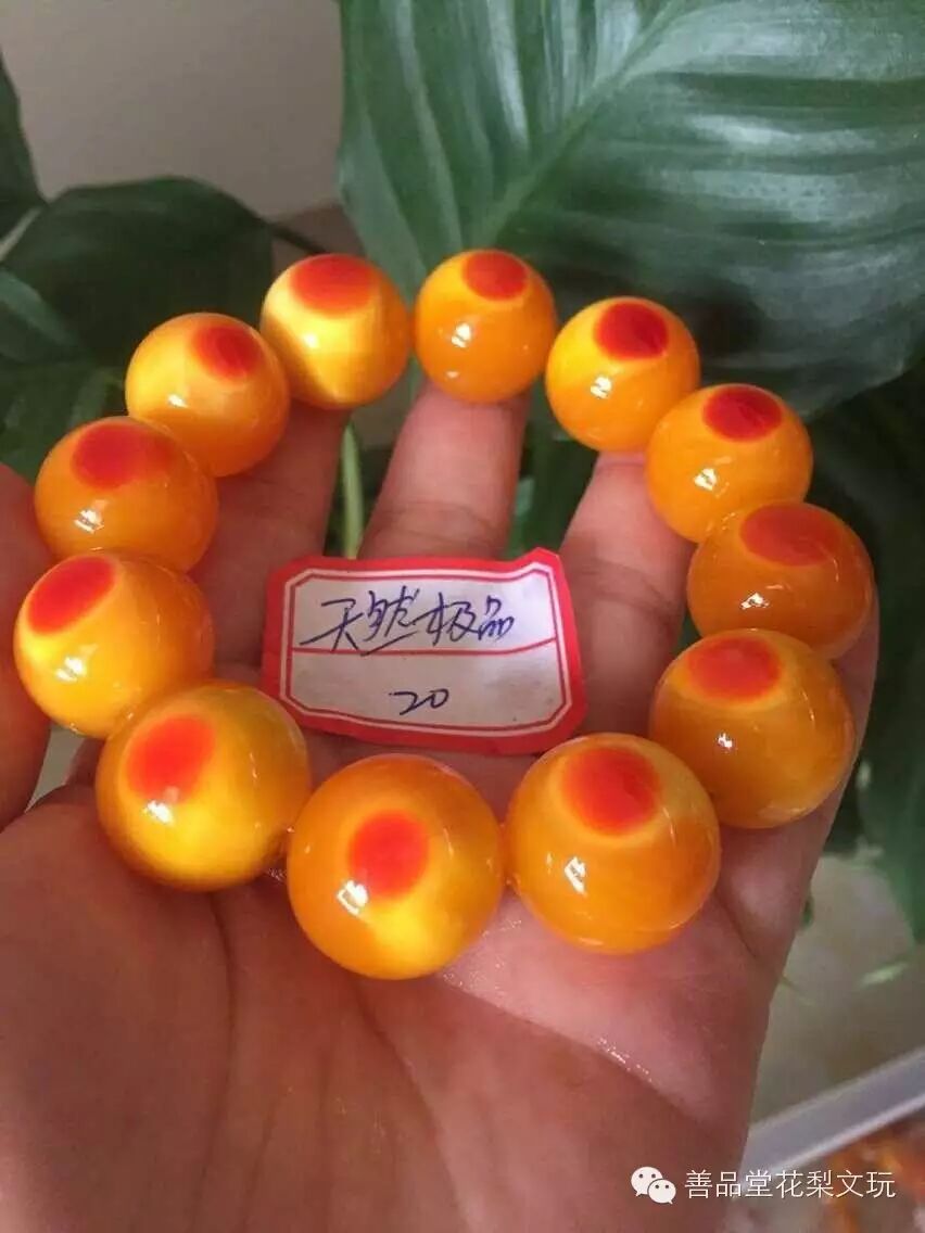 鹤顶红,犀牛角,象牙,玳瑁全面图解
