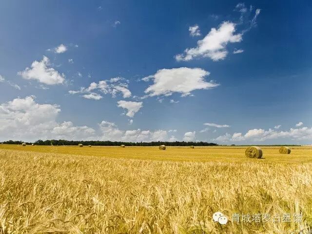 【本周运势】一寸还成千万缕 【本周运势】一寸还成千万缕