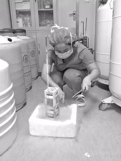 高龄夫妻冷冻胚胎十年,成功怀上二胎!国内罕见!-怀孕期