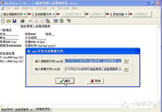 EpiData：科研数据录入与管理的必备神器