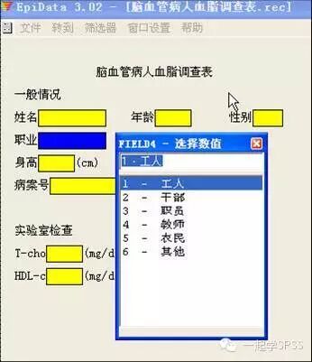 EpiData：科研数据录入与管理的必备神器