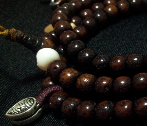 星月菩提全攻略，☞看完就是星月专家了！