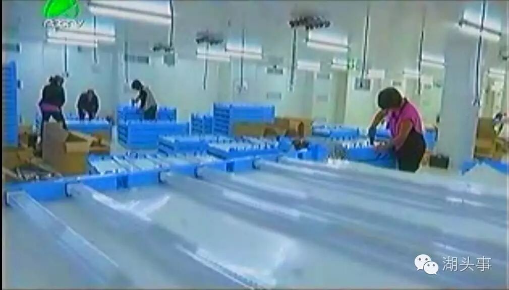 拟分期投入70亿！三安集团LED植物照明工厂月底投产