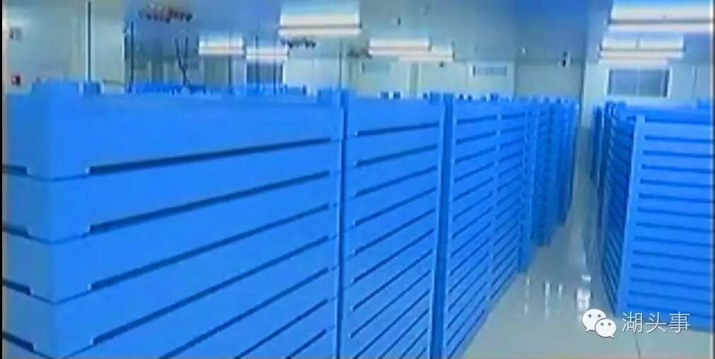 拟分期投入70亿！三安集团LED植物照明工厂月底投产