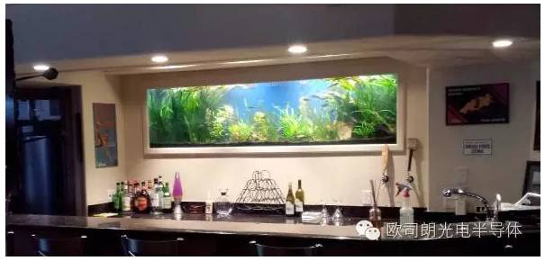 【案例】欧司朗助力为珊瑚礁水族馆打造顶级LED照明环境