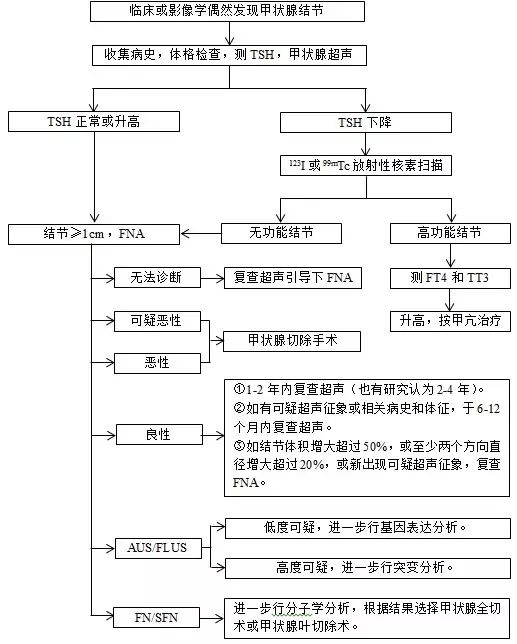 nejm 流程图:甲状腺结节这样做检查,治疗