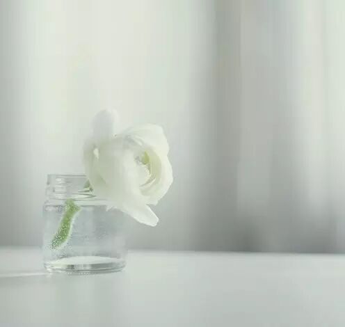 听南方姑娘的花故事,耳朵在怀孕!-怀孕期