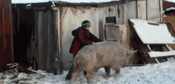�������������ɵ�Ц�Ĳ�������