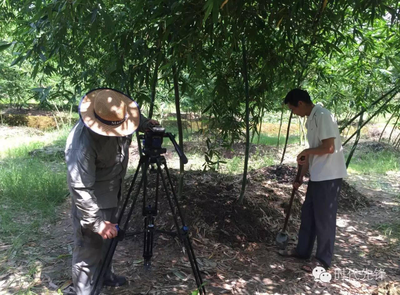 致富种植公司董事长_种植致富经_致富种植创业项目