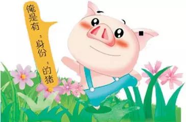 「放心肉菜超市」哈密首个猪肉可追溯系统，全是放心猪