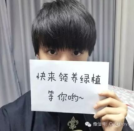 绿植形象大使王俊凯