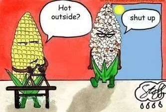 沁园春 ☀ 热 ---致灯具人