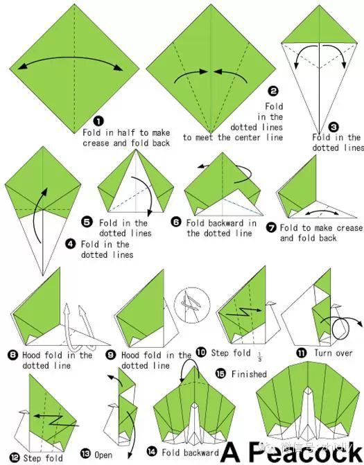 简单折纸孔雀手工折纸教程