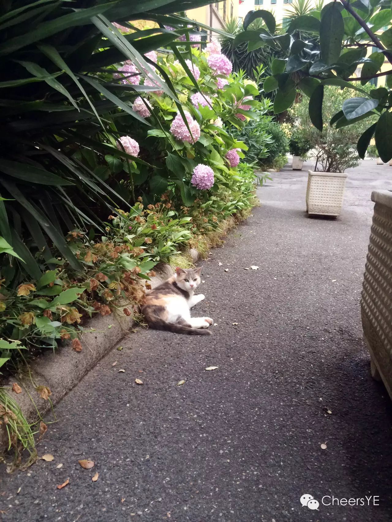 【跟著羅馬假日去度假】歐洲自由行之意大利篇。（羅馬、比薩、五漁邨、威尼斯超詳細攻略&游記，發給我的小夥伴們收藏用）