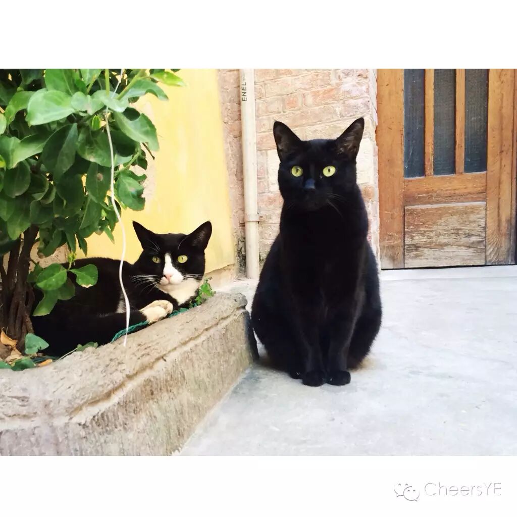 【跟著羅馬假日去度假】歐洲自由行之意大利篇。（羅馬、比薩、五漁邨、威尼斯超詳細攻略&游記，發給我的小夥伴們收藏用）