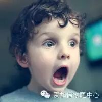 学习根基十二个主品格