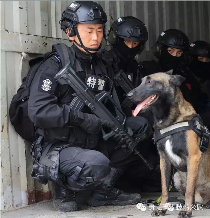 电视剧《特警力量》中的韩峰教官和警犬猎奇