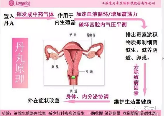 隆力奇花清单功效?子宫怎么保养呢?