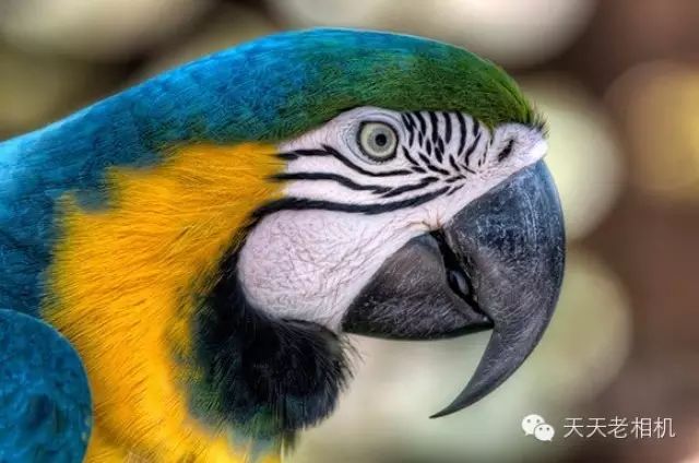 2010年广西中职学校-有名气的职高学校-比较出名的技校学校有那些