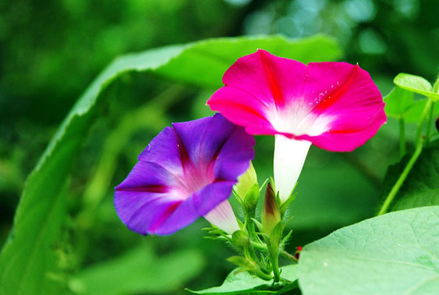 有缘而来 <wbr>无缘而去