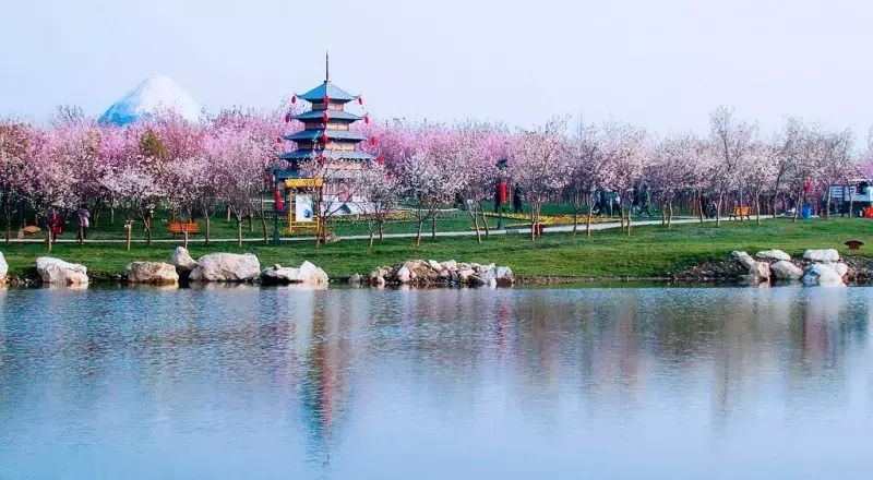 1青白江凤凰湿地公园.jpg 此《成都》并非彼成都!!!