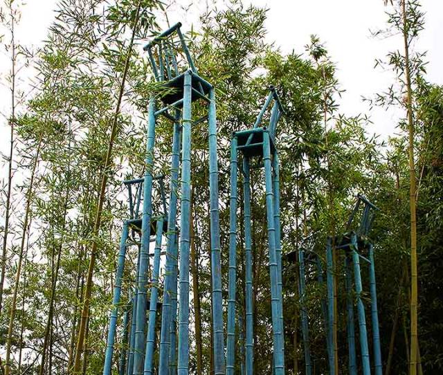 当代中式园林的经典之作丨亩中山水