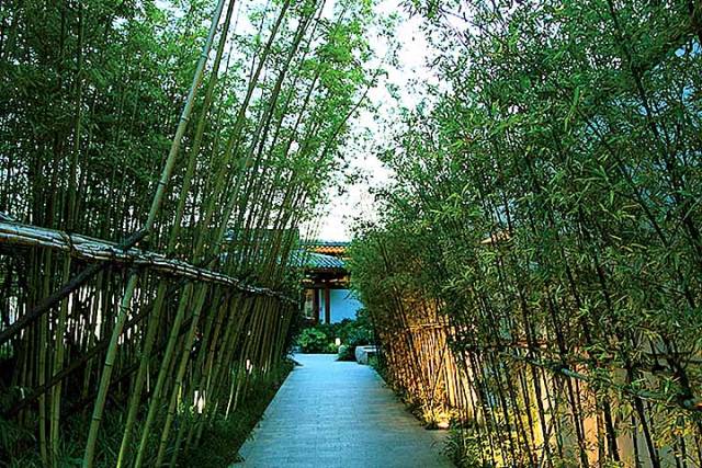 当代中式园林的经典之作丨亩中山水