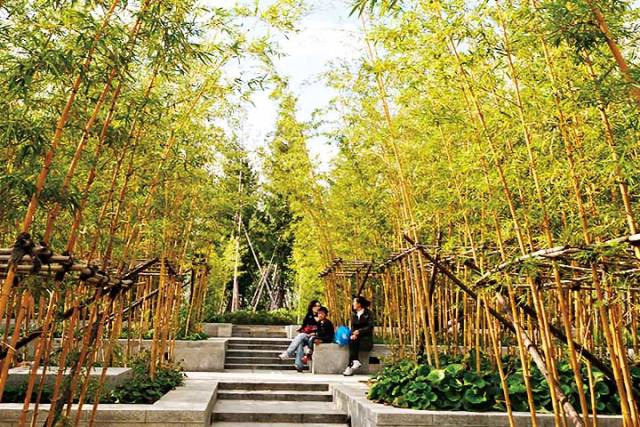 当代中式园林的经典之作丨亩中山水