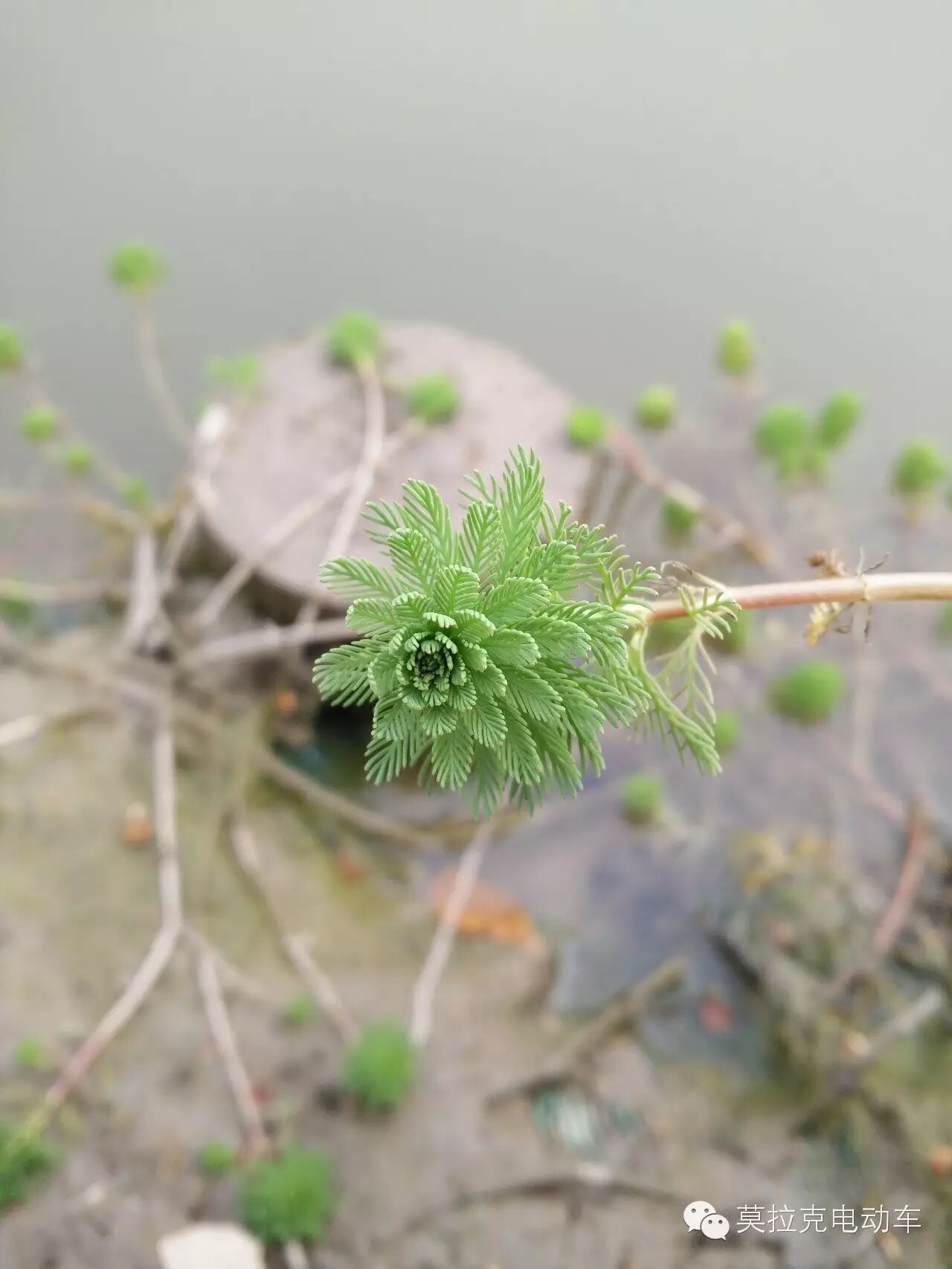 奔跑吧兄弟第五季什么时候开播_奔跑吧兄弟第七季几点开播_非诚勿扰第一期是什么时候开播