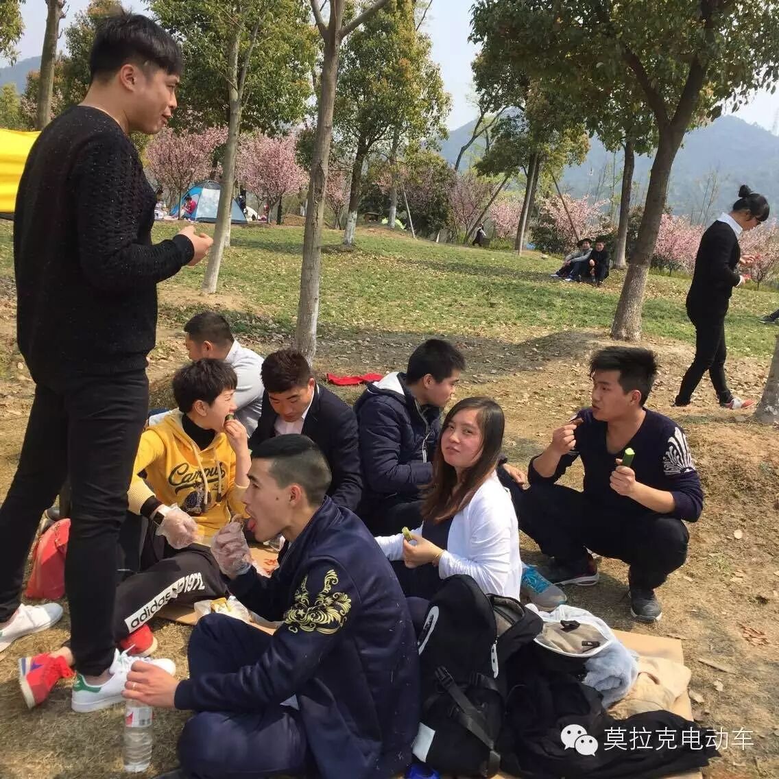 奔跑吧兄弟第七季几点开播_奔跑吧兄弟第五季什么时候开播_非诚勿扰第一期是什么时候开播