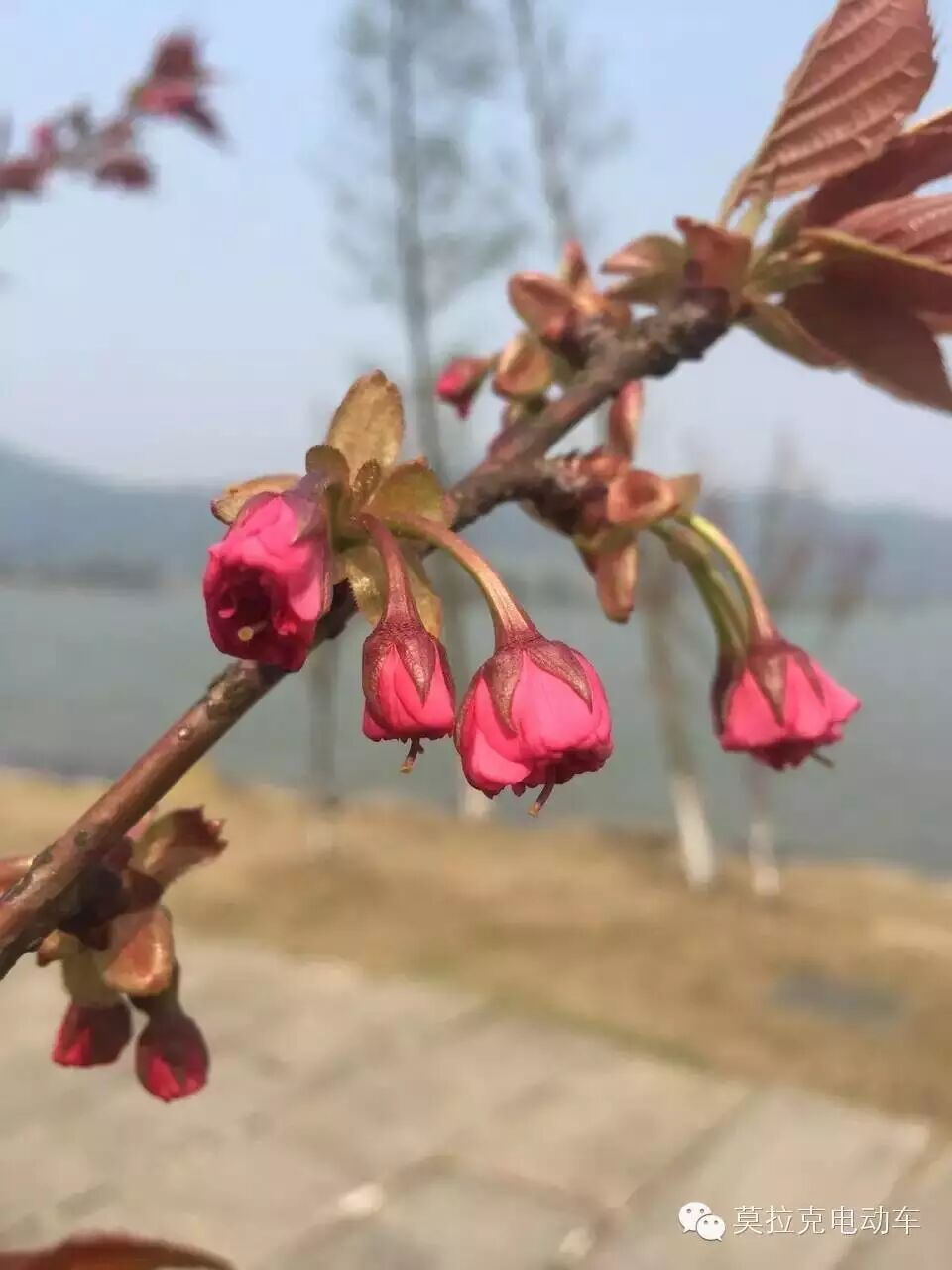 奔跑吧兄弟第七季几点开播_非诚勿扰第一期是什么时候开播_奔跑吧兄弟第五季什么时候开播