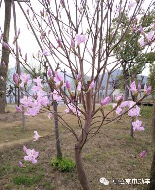 非诚勿扰第一期是什么时候开播_奔跑吧兄弟第七季几点开播_奔跑吧兄弟第五季什么时候开播