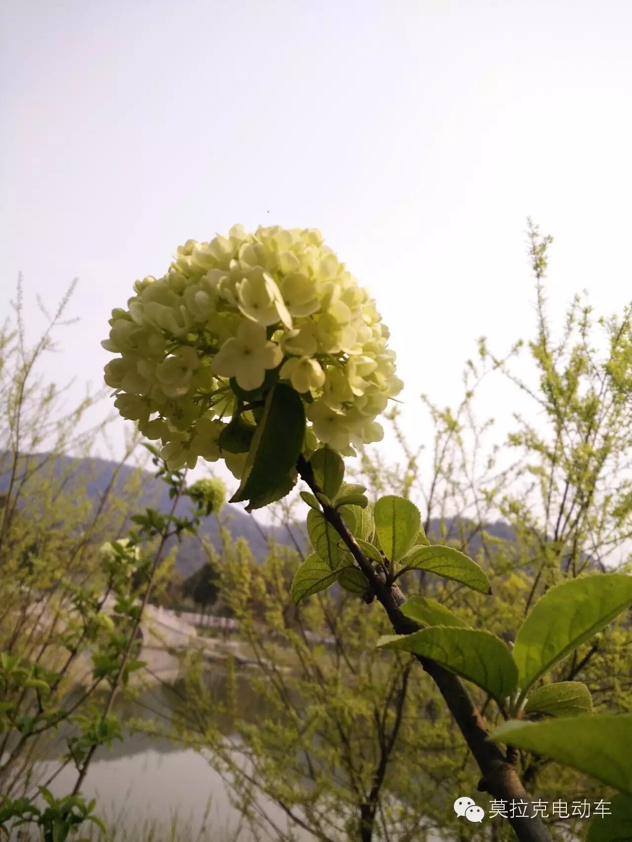 非诚勿扰第一期是什么时候开播_奔跑吧兄弟第五季什么时候开播_奔跑吧兄弟第七季几点开播