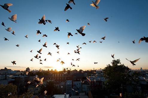 他患不育妻子却怀孕,父亲劝他生下,结果出乎他意料-怀孕期