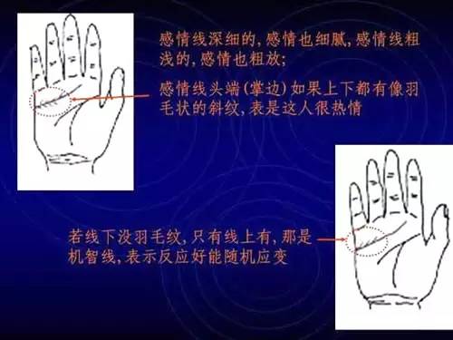 女手掌事业线断断续续_手掌生命线事业线_通过手掌线看事业