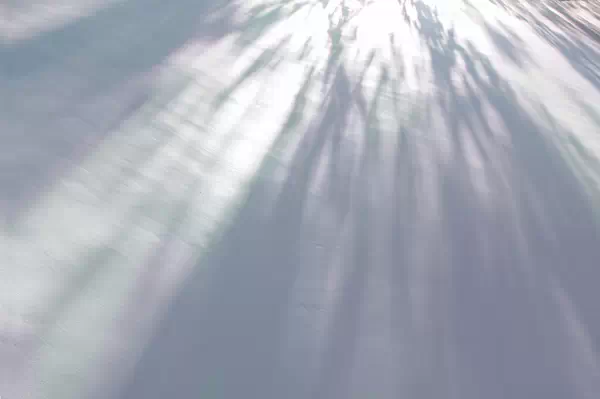 【佳作欣赏】《为了看看阳光，我来到这世上》‖巴尔蒙特